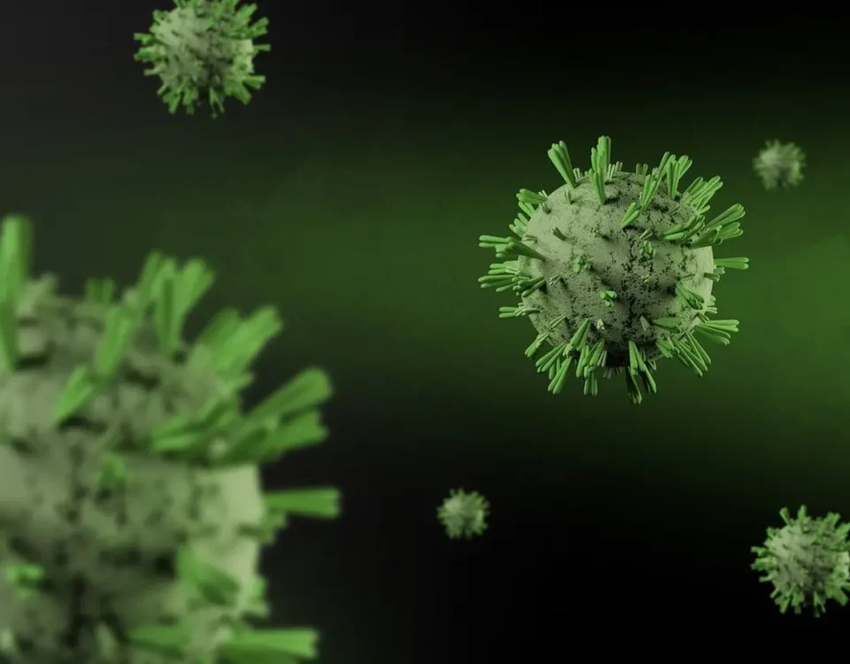 Szkodliwe czynniki biologiczne w miejscu pracy - identyfikacja i zasady BHP , fot. Pixabay